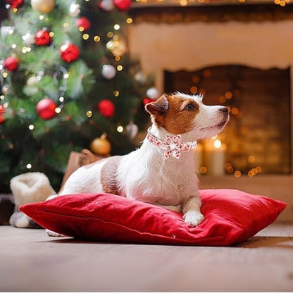 Dog Collar Christmas Gingerbread Man and Snowman Print Pet Collar Holiday Soft Dog Collars with Flower Adjustable Metal Buckle Collar for X-Large Dogs