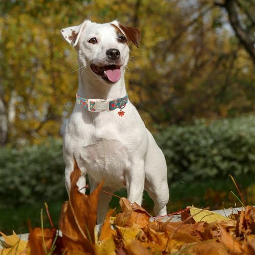 Fall Dog Collar for Small Medium Large Dogs-Adjustable Autumn Leaf Print Dog Collar with Maple Charm, Cute Seasonal Pet Collars with Quick Release, Soft Durable Puppy Collars