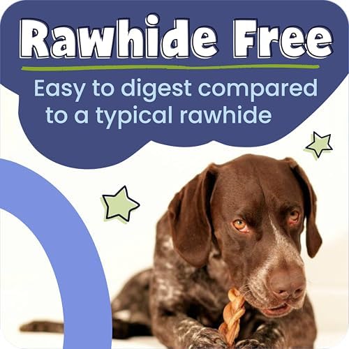 Pawstruck 100% Natural 7" Braided Bully Sticks 1 lb Bag - Long Lasting Rawhide Free Single Ingredient Dog Chews for Aggressive Chewers with Dental Health Support and High Protein