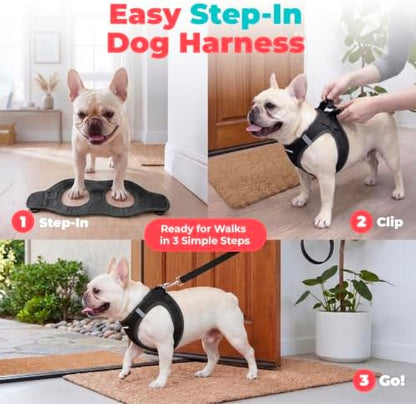 Voyager Step-in Air Dog Vest Harness - Black, X-Large