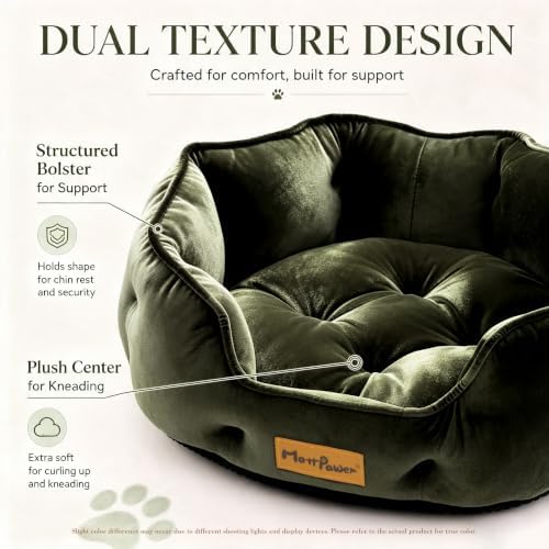 Olive Green Cat Bed for Indoor Cats, Removable Cushion Bed