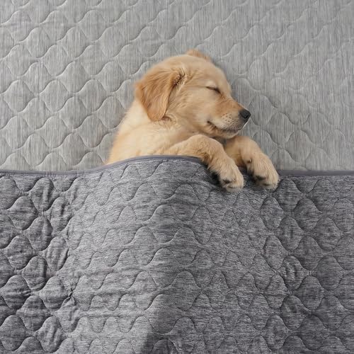 Cozy Bliss Deluxe Leakproof Cooling Blanket for Large Dogs Q-Max 0.5, Soft & Durable Washable Pet Cooling Mat for Hot Weather, Livingroom, Couch & Bed Protector for Cats, Charcoal Grey, 60"x80"