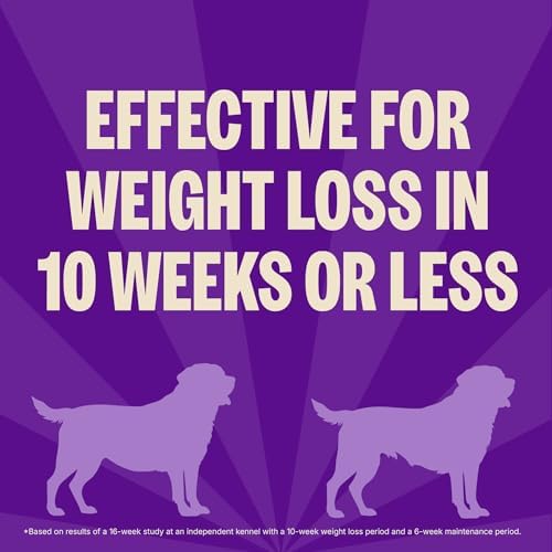 Wellness CORE Healthy Weight Adult Dry Dog Food, Grain Free Kibble, Natural, High Protein, Turkey and Chicken Recipe, 4 lb Bag