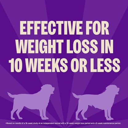 Wellness CORE Healthy Weight Adult Dry Dog Food, Grain Free Kibble, Natural, High Protein, Turkey and Chicken Recipe, 4 lb Bag