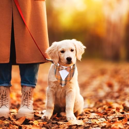 ADOGGYGO Fall Dog Tuxedo Collar, Orange Plaid Dog Thanksgiving Outfit, S