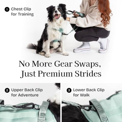 Fei & Eve Tactical Dog Harness, No Pull Dog Vest with Magnetic Buckle