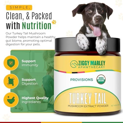 Ziggy Marley's USDA Organic Turkey Tail Mushroom Powder for Dogs & Cats – Support Immunity & Digestion – Fruiting Body Extract, 90 Grams