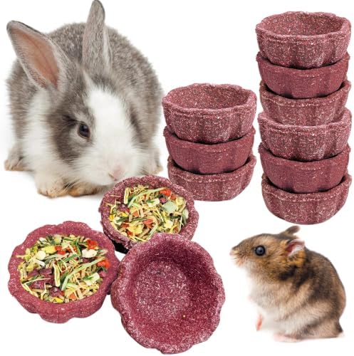 12 Pack Rabbit Chew Toys for Teeth Natural Guinea Pig Toys