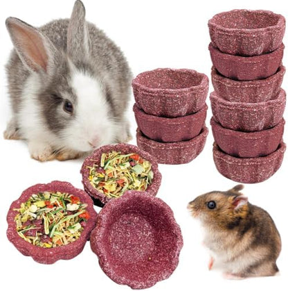 12 Pack Rabbit Chew Toys for Teeth Natural Guinea Pig Toys