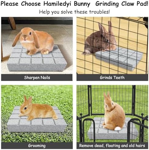 Hamiledyi 6PCS Rabbit Scratching Pads - Lava Stone Grinding Claw Pads & Chew Toys for Small Animals, Hamster, Chinchilla, Hedgehog, Guinea Pig Cage Accessories