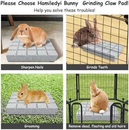 Hamiledyi 6PCS Rabbit Scratching Pads - Lava Stone Grinding Claw Pads & Chew Toys for Small Animals, Hamster, Chinchilla, Hedgehog, Guinea Pig Cage Accessories