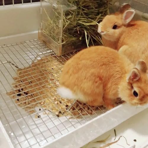 PODOO Rabbit Litter Box – Training Potty Tray for Guinea Pig & Small Pets · Spacious Grid Pan with Low Entrance, Easy-Clean & Odor-Resistant—Helps Keep a Clean Cage and Reduce Mess