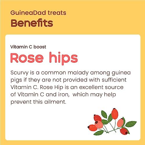 GuineaDad Organic Guinea Pig Herbal Treats - Guinea Pig Food with Convenient Packaging - Rose Hip Flavor - 10 fl. oz - Guinea Pig Treats Help with Bonding - High in Nutrition, Immune Support - Small
