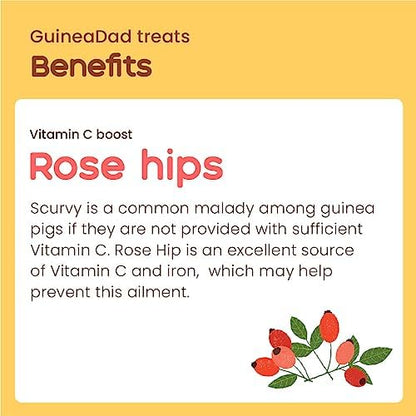 GuineaDad Organic Guinea Pig Herbal Treats - Guinea Pig Food with Convenient Packaging - Rose Hip Flavor - 10 fl. oz - Guinea Pig Treats Help with Bonding - High in Nutrition, Immune Support - Small