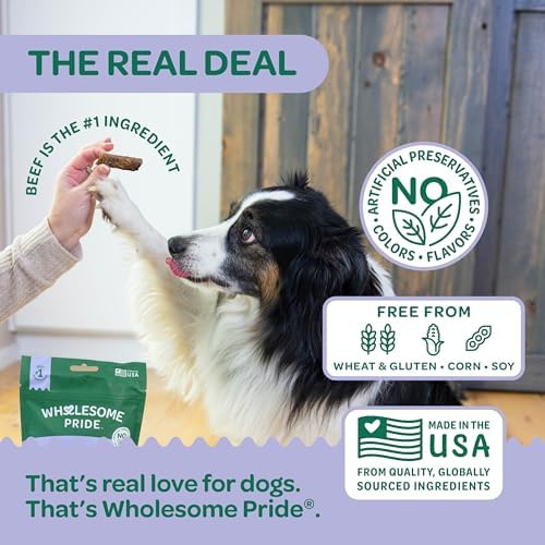 Wholesome Pride Functional Dog Hip & Joint Support Beef Jerky Bites, USA Made Mobility Dog Treats - 8 oz