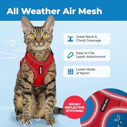 Voyager Escape-Proof Step-in Lock Cat Harness & 5ft Neoprene-Handle Leash Set All-Weather Mesh with Reflective Stitching for Small to Large Cats by Best Pet Supplies, Red (327), XS