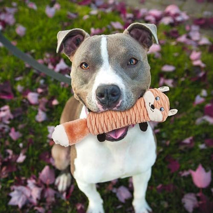 SPOT Skinneeez Stretch and Squeak Dog Toy - Stuffing-Free Stretchy Toy with Crinkle and Squeaker, Fun for Dogs to Tug and Fetch, Assorted Animal Characters - Beaver, Raccoon, or Fox - 13in