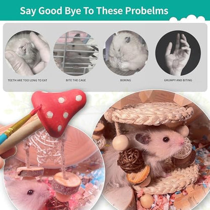 Hamster Toys for Hamster, Gerbils, Mice, Rats - Natural Wood Chew Toys for Small Animals, Syrian & Dwarf Hamster Cage Accessories to Relieve Boredom, Promote Molar Teeth Grinding & Reduce