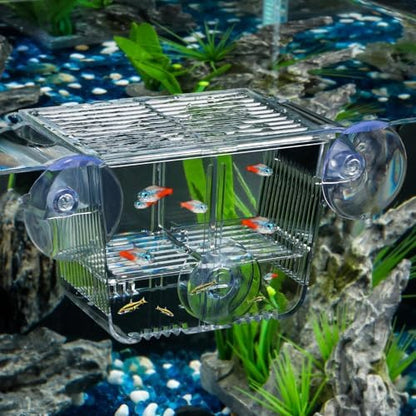 Pawfly Aquarium Breeding Box, Acrylic Fish Isolation Box with 6 Suction Cups, Aquarium Acclimation Hatchery Incubator for Baby Shrimp Betta Aggressive Fish Guppy (Small)