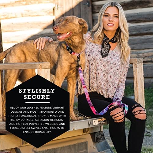 Wolfgang Heavy Duty Dog Leash, Pull-Tested to Over 800 lbs for Walking & Training, Daydream Print, Small