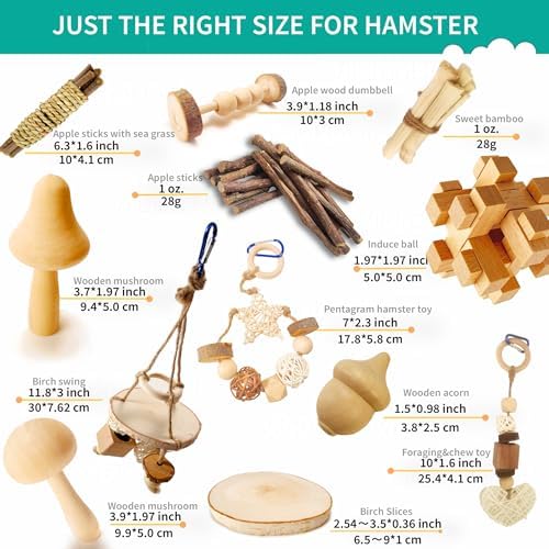 13 PCs Hamster Toys for Hamster, Gerbils, Mice, Rats, and Other Small Animals - Natural Molar Chew & Play Toys to Induce Teeth Grinding, Reduce Boredom and Depression