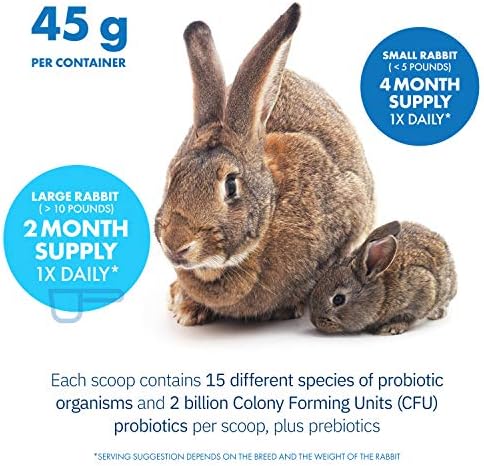 HealthyGut Probiotics for Rabbits Dietary Supplement, All-Natural Digestive System Formula (120 Servings)