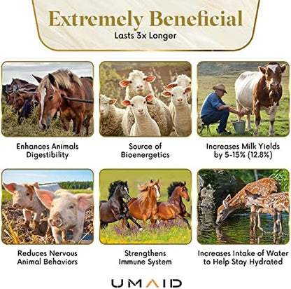UMAID Himalayan Salt Lick 6 lbs On Rope for Horse, Deer, Goat, and Livestock Animals - Himalayan Salt Block 1 Pack