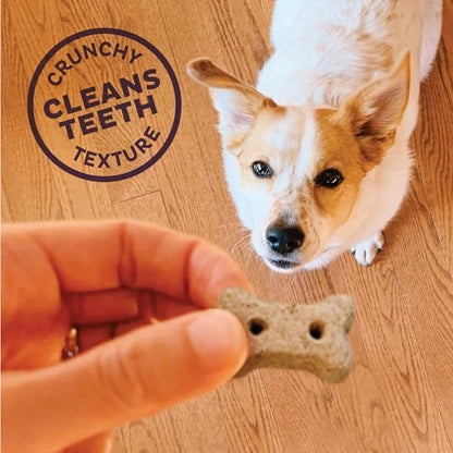 Old Mother Hubbard by Wellness Classic Natural Puppy Treats, Crunchy Oven-Baked Biscuits, Ideal for Training, Mini Size Dog Treats, 20 Ounce Bag (Pack of 2)