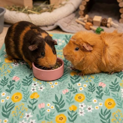 Guinea Pig Cage Liner, 59"x31" Bedding for C&C 2x4 Cage 2 Pack, Green