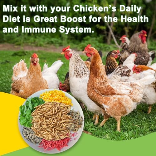 MTART 5LB Dried Black Soldier Fly Larvae Chicken Feed, 100% Natural Non-GMO More Calcium Than Dried Mealworms, High Protein Chicken Treat for Layer Hens, Birds, Ducks