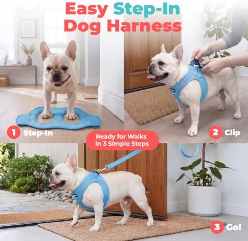 Voyager Step-in Air Dog Vest Harness - Sky Blue, Large