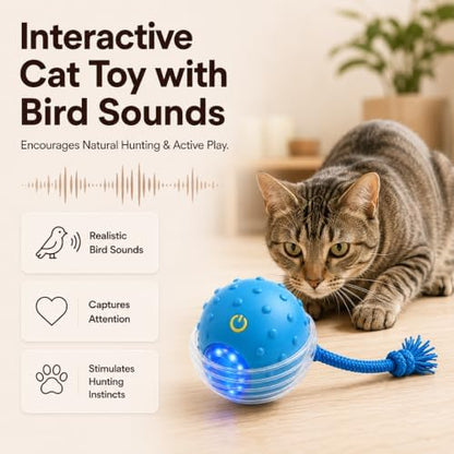 Interactive Rolling Cat Ball, Motion Activated Automatic Cat Toy