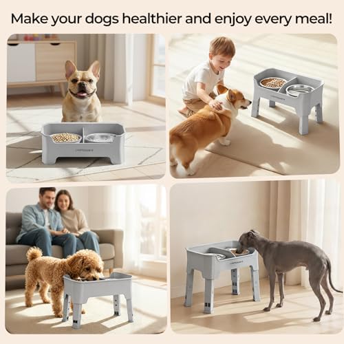 URPOWER Mess Proof Elevated Dog Bowls for Small Dogs with Splash Guard