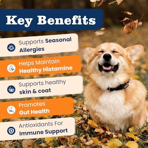 Dog Allergy Chews-120 Crunchy & Creamy Chews, anti-Allergy & Itching Skin Relief Bites Immune Support, with Omega 3 Fish Oil Probiotics for Seasonal All Issues Allergies Made in USA Chicken Flavor