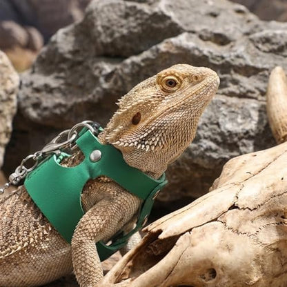 3 Pack Bearded Dragon Leash and Harness Set 3 Size Adjustable Lizard Harness Bearded Dragon Outfits for Reptile Small Animals Training Walking, Easy to Put on and Take Off (Green)