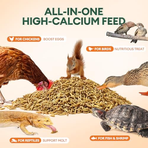 BUCATSTATE Dried Black Soldier Fly Larvae for Chickens and Ducks, 10LB