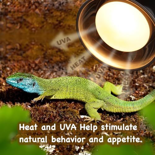 150W Reptile Basking Heat Bulb, 2-Pack UVA Daylight Heat Lamp Bulbs for Bearded Dragons, Turtles, Snakes, Lizards & Amphibians - Provides Infrared Heat Output & Sunlight Simulation Heating Light