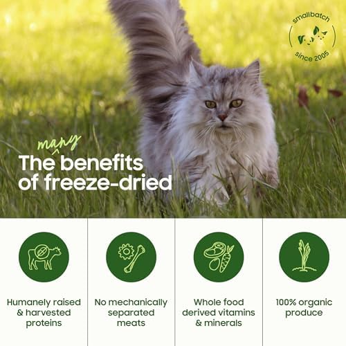 smallbatch Freeze Dried Raw Cat Food, High Protein Beef Recipe, 10 oz