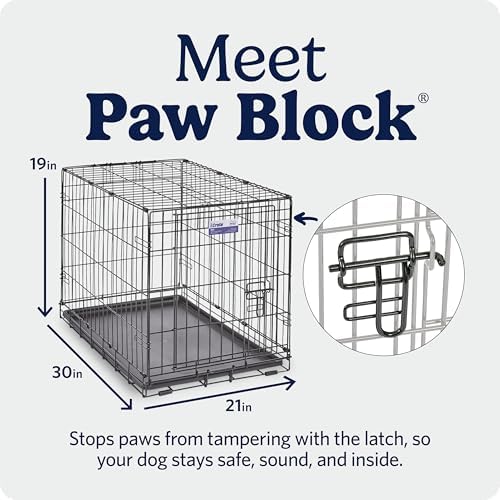 Midwest 30-Inch Single Door iCrate, for Medium Breeds, 21-40 lbs