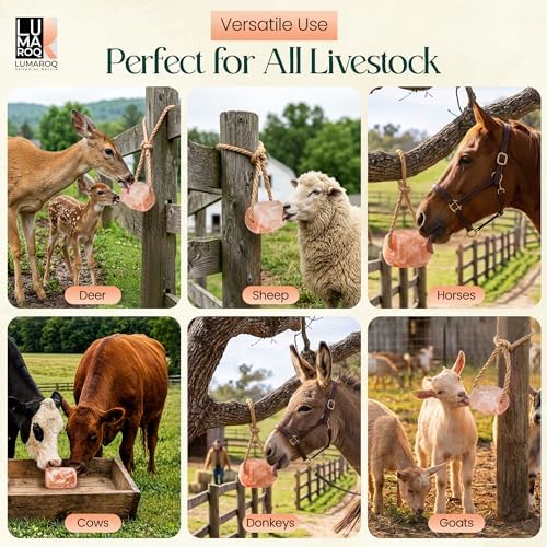Himalayan Pink Salt Lick On Rope 6lbs for Horses, Deer, Goats & Livestock, Natural Mineral Salt Block with 84 Trace Minerals, Hanging Horse Salt Lick for Farm Animals & Wildlife (Pack of 3)