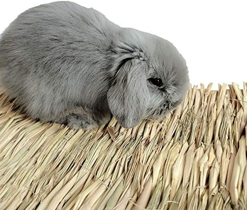 Hamiledyi Grass Mat Woven Bed Mat for Small Animal Bunny Bedding(Pack of 3)