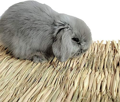 Hamiledyi Grass Mat Woven Bed Mat for Small Animal Bunny Bedding(Pack of 3)