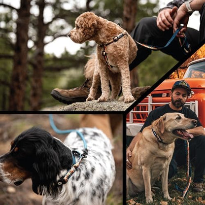 Wolfgang Wide Venture Dog Collar Overland Print X-Large