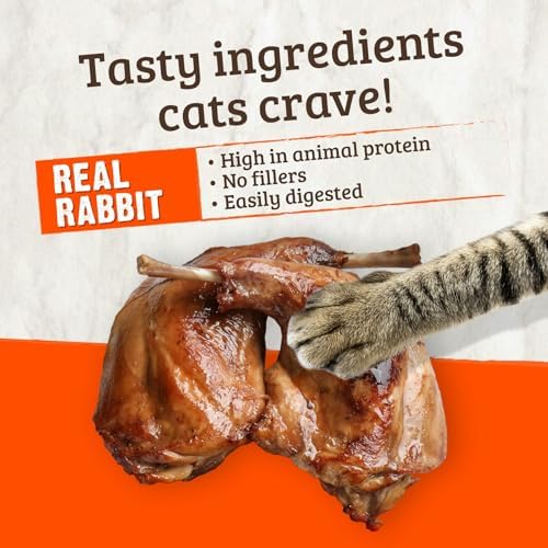 Rawz Real Rabbit Dry Food for Cats with Freeze Dried Coating (1.75 Pounds) Made in USA