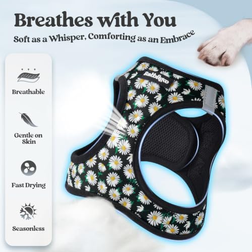 rabbitgoo Dog Harness Small Sized and Leash Set, Step-in Puppy Pet Vest