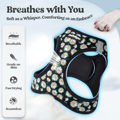 rabbitgoo Dog Harness Small Sized and Leash Set, Step-in Puppy Pet Vest