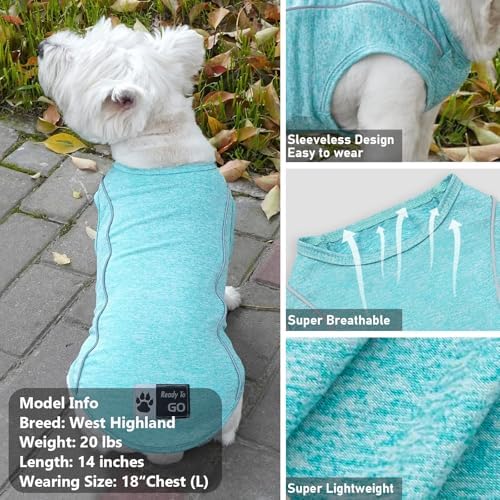 KYEESE 2Pack Reflective Dog Shirt, Lightweight Sun Protection Dog T Shirts for Small Dogs Boy, Breathable Sleeveless Pet Tank Top Summer Dogs Clothes for Night Walking Outdoor, Lake Blue+Blue, L