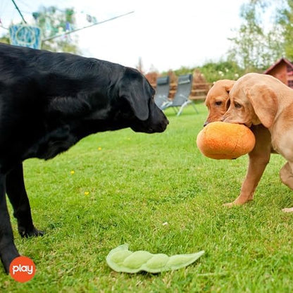 P.L.A.Y. Cute Plush Dog Toys - Fruit & Vegetable Themed Durable Squeaker Chew Toy, Great for Puppies & Small, Medium, Large Dogs - Machine Washable, Recycled Materials (Garden Fresh Peapod, X-Small)