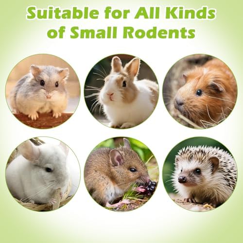Apatal6 Pcs Rabbit Chew Toys Natural Baked Grass & Pumpkins Rabbit Treats Teeth Grinding Guinea Pig Treats Bunny Molar Toys for Guinea Pigs Bunny Hamster Chinchillas Gerbils