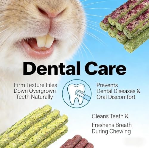 Chew Treat Rabbit Toys for Teeth Health, Natural Bunny Enrichment Toys for Boredom & Stress Relief, Keep Busy Toys for Guinea Pig Chinchilla Hamster Rat Gerbil Degu (29Pcs 5 Flavors)